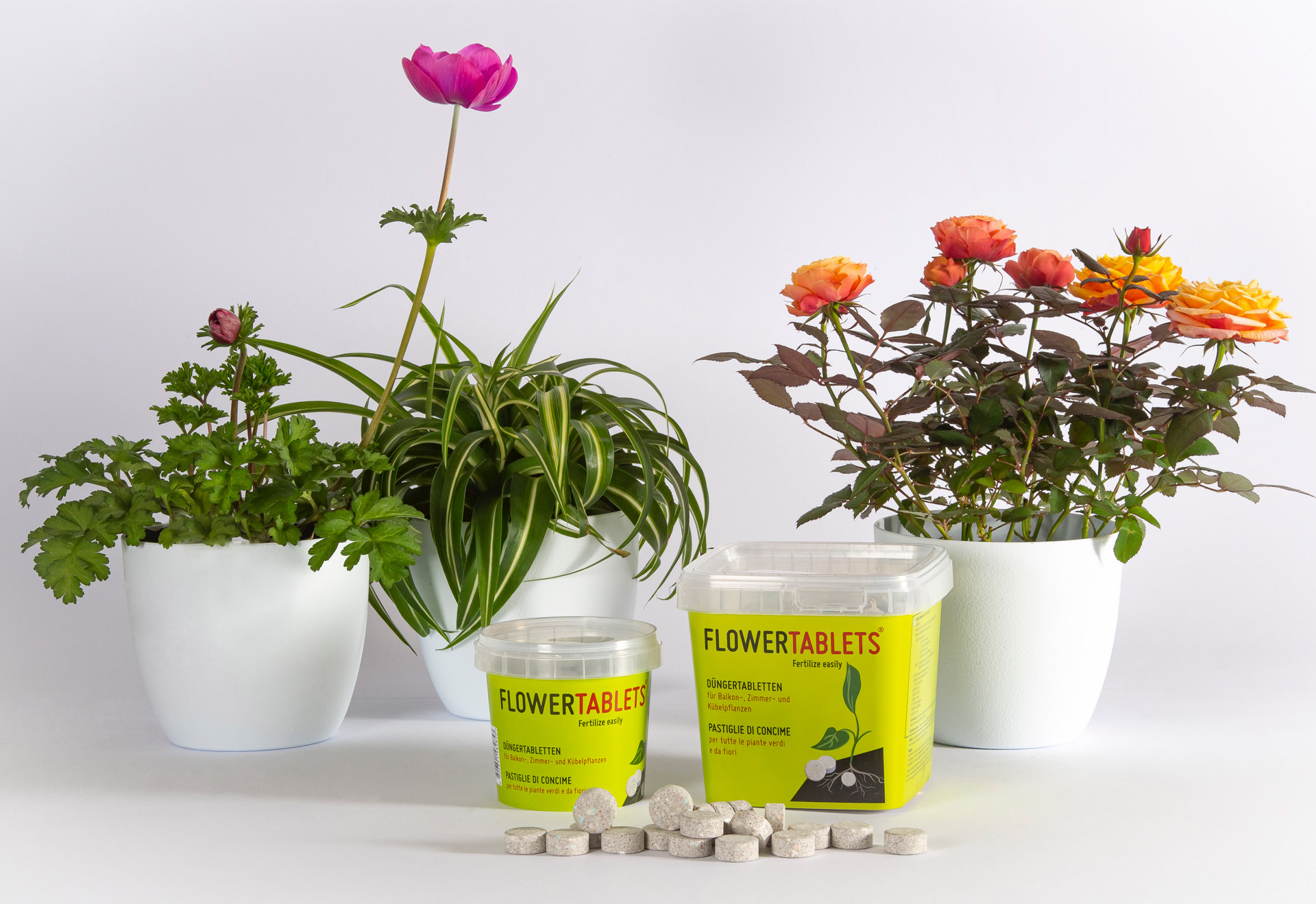 Saniflor Flowertablets