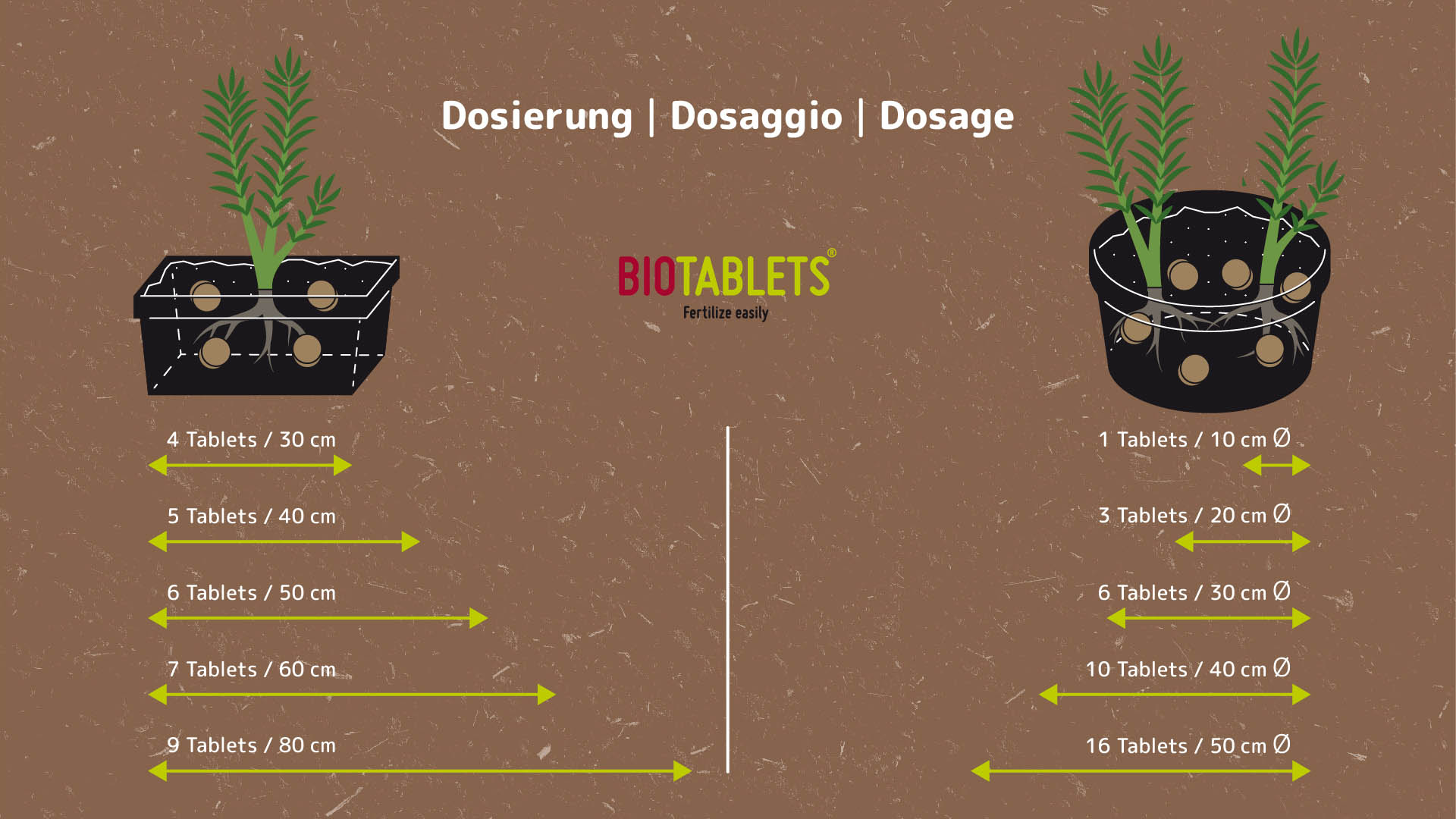 BIOTABLETS Factsheet