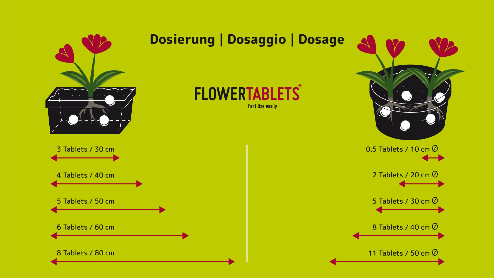 FLOWERTABLETS Factsheet